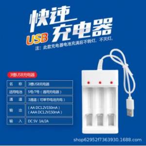 全新 2A 3A 電池充電器