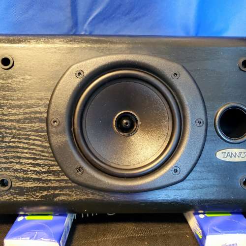 TANNOY 621 同軸中置喇叭