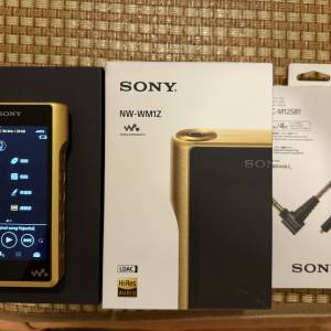 SONY NW-WM1Z 金磚1代