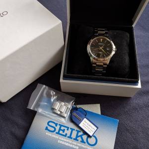 Seiko Watch 精工男裝鋼帶手錶