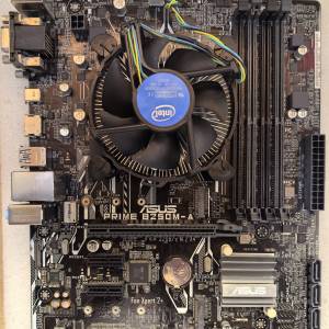 i7 7700 + Asus B250M-A