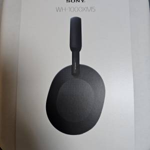 Sony WH-1000 XM5