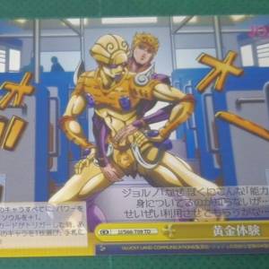 JJ/566-T09 TD. 黃金體驗
