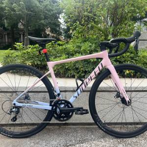 2025 SUNPEED ASTRO 阿童木 20速 油剎桶軸碳前叉鋁合金公路車 送水架前後蛙燈