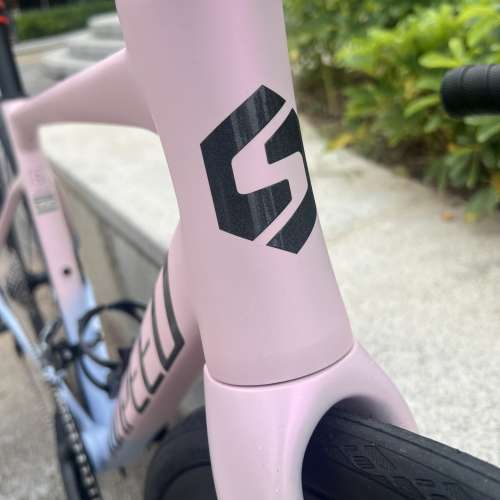 2025 SUNPEED ASTRO 阿童木 20速 油剎桶軸碳前叉鋁合金公路車 送水架前後蛙燈