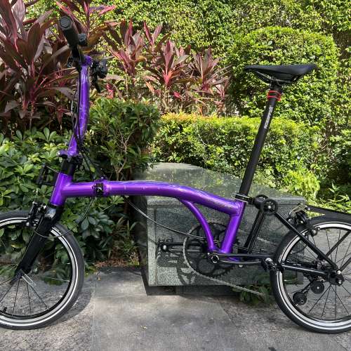 特價 2025 最新拉絲銀色 紫色 ACEOFFIX C5 全原裝5速黑色碳前叉鋁合金折叠車 送前後...