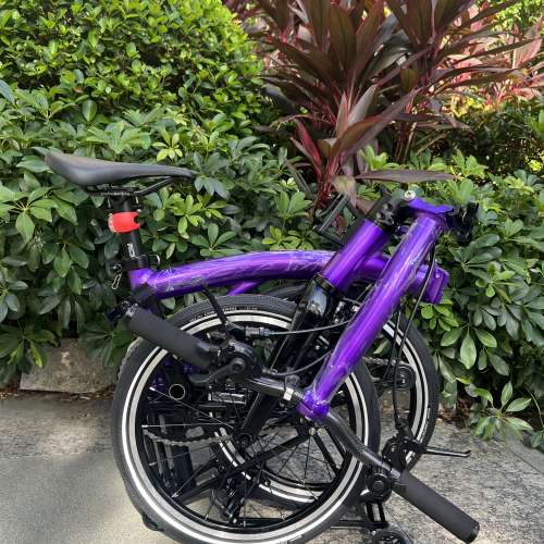 特價 2025 最新拉絲銀色 紫色 ACEOFFIX C5 全原裝5速黑色碳前叉鋁合金折叠車 送前後...