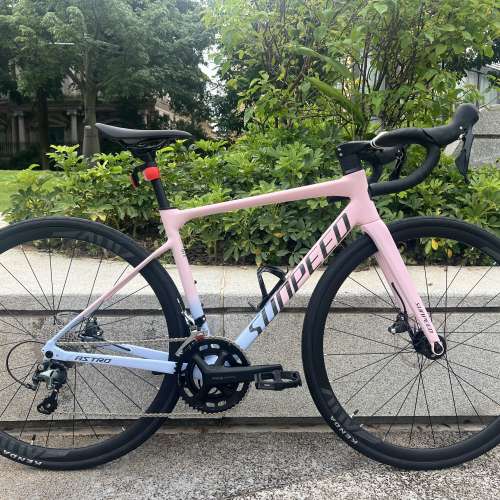 2025 SUNPEED ASTRO 阿童木 20速 油剎桶軸碳前叉鋁合金公路車 送水架前後蛙燈