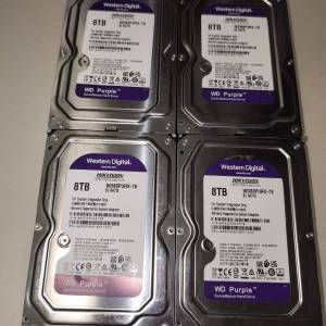 8tb hdd purple 一個520