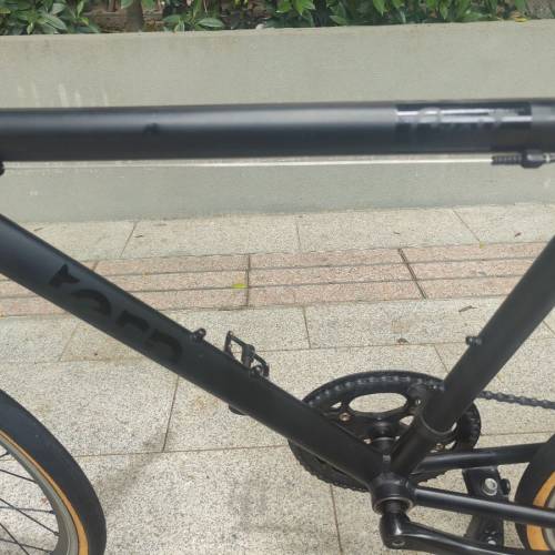 tern crest 20寸八速451呔小輪徑(今天快交價)