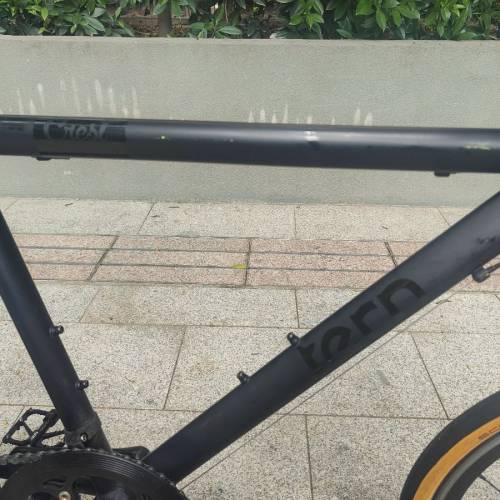 tern crest 20寸八速451呔小輪徑(今天快交價)