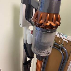 Dyson v11 Fluffy+ 注意描述
