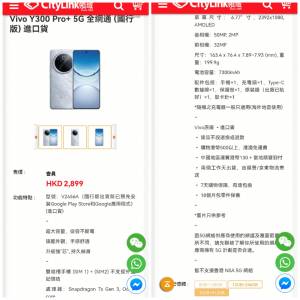 Vivo Y300 Pro+ 星空銀 12+512G Rom
