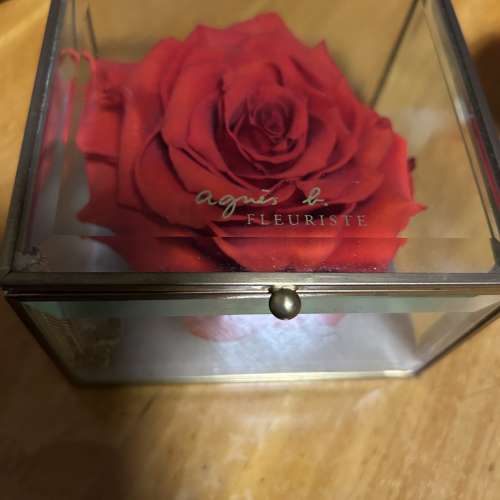 Agnes b 紅色玫瑰永生花飾物盒 Flower rose accessories box