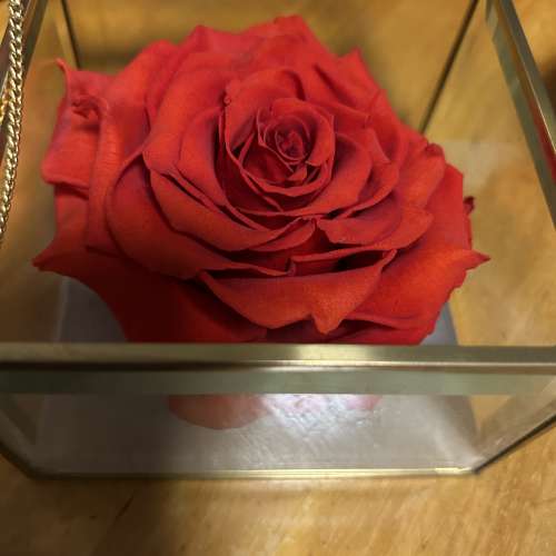 Agnes b 紅色玫瑰永生花飾物盒 Flower rose accessories box