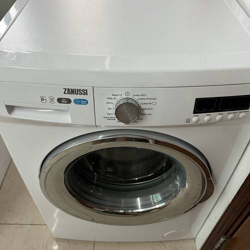 金章大眼洗衣機