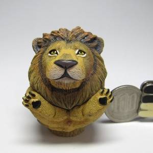 百獣の王ライオンが出ました。