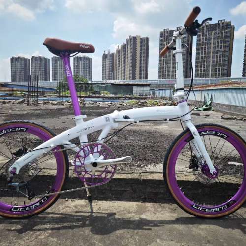 特價 2025 新款 FNHON PD2018 TIAGRA 10速 油剎 20吋 451 平焊鋁合金車架折叠車 送...