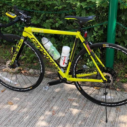 【代友放售】【不議價】Cannondale CAAD12 Disc Dura-Ace 公路單車