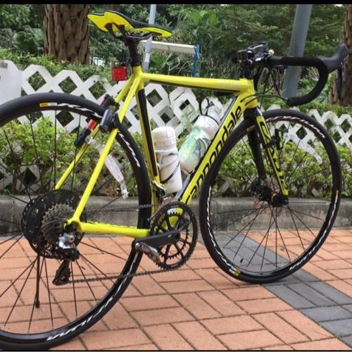 【代友放售】【不議價】Cannondale CAAD12 Disc Dura-Ace 公路單車