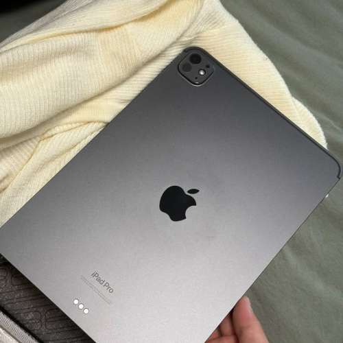 99新，iPad Pro 7代 11英寸 2024港版 M4芯片全套256G灰色11寸，連筆