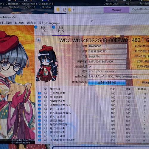 WD Green 480GB M.2 SATA SSD