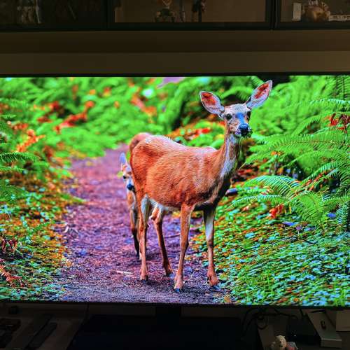 Samsung QLED 4K TV Q70A 65寸 電視