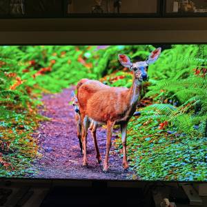 Samsung QLED 4K TV Q70A 65寸 電視