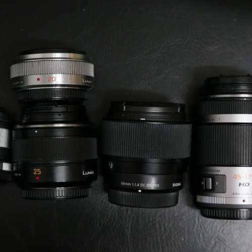 M43 mount 及 Fuji X mount 鏡頭
