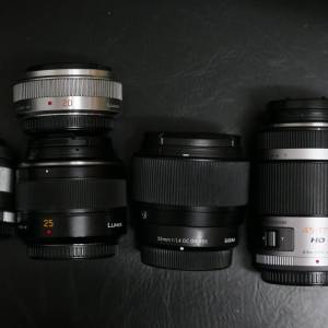 M43 mount 及 Fuji X mount 鏡頭