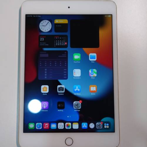 iPad mini 4 wifi 32G