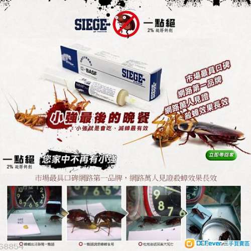 強勁滅殺蟑螂 ~ 德國BASF (巴斯夫) Siege 施杰 (一點絕) 凝膠滅殺蟑藥餌 (無效退款)
