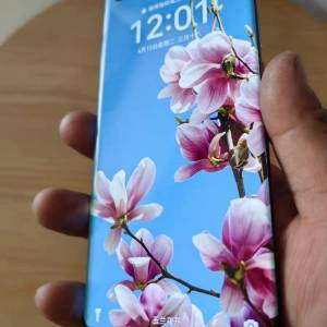 華為mate40Pro 5g 8+256