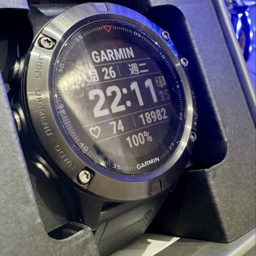 Garmin Fenix 5X
