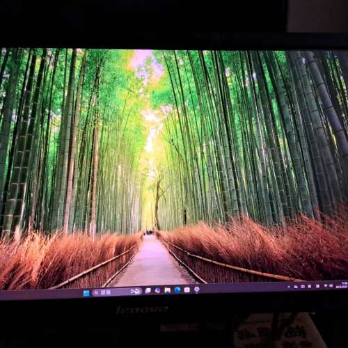 Lenovo LT2323pwA 23“ 顯示器 Monitor