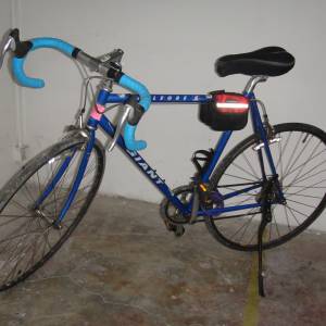Giant 26吋轆, 16速單車