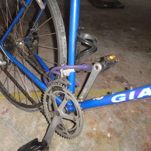 Giant 26吋轆, 16速單車