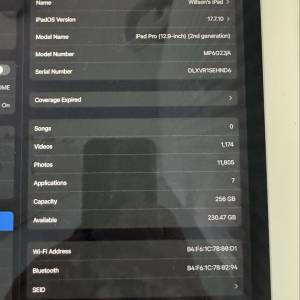 放95%電 ipad pro 12.9 2代 256wifi