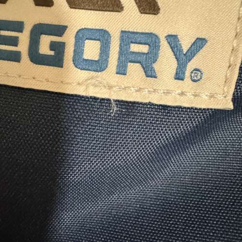 Gregory daypack thisisneverthat 背囊 背包 backpack  聯乘 別注版 限定  韓國 潮...