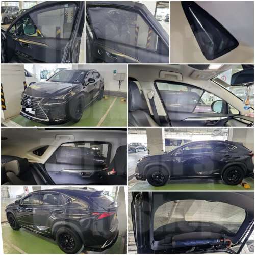 NX200T NX250 NX300H 全車磁石濾光窗網太陽擋