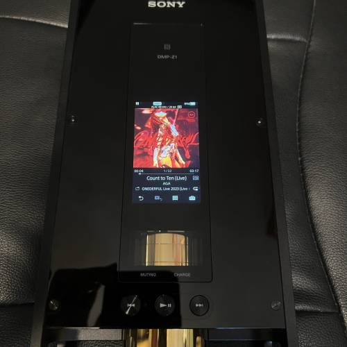 Sony DMP Z1