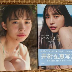 井桁弘恵 寫真書