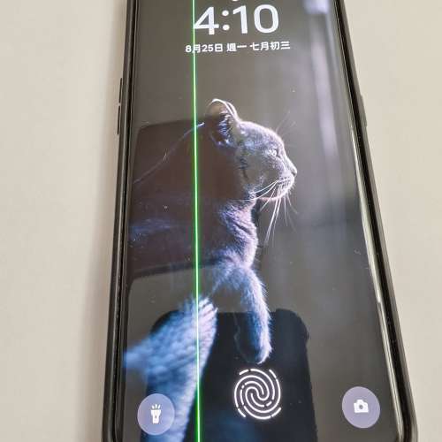 Oppo Find X3 Pro 5G (12+256) 國際版 雙卡雙待 (綠線)