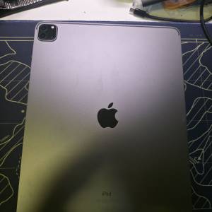 ipad pro 12 5代 256gb 可少議