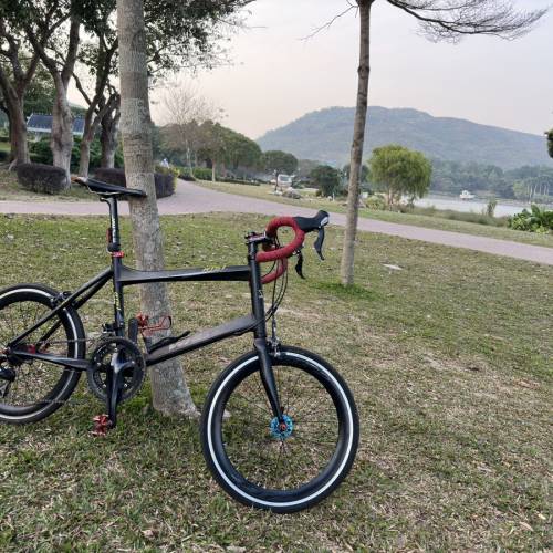 Wheelers rts1 小輪徑
