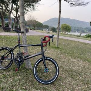 Wheelers rts1 小輪徑