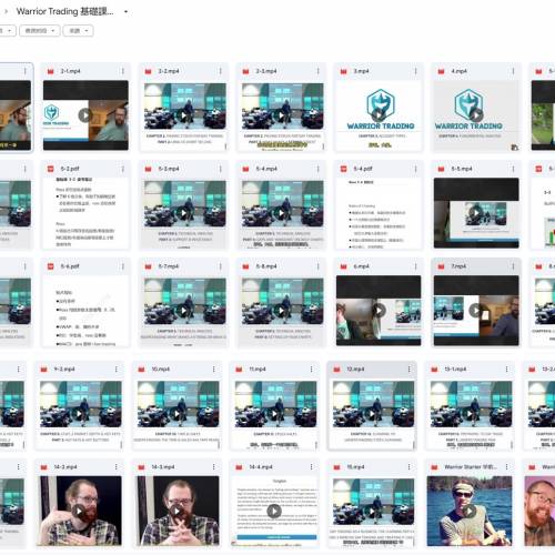 《Warrior Trading 中英字幕》 《Arsh Options》《Crypto》《Steve Dahl Intro Fut...