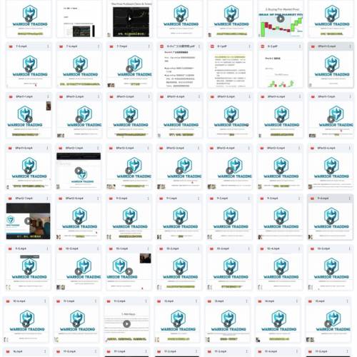 《Warrior Trading 中英字幕》 《Arsh Options》《Crypto》《Steve Dahl Intro Fut...