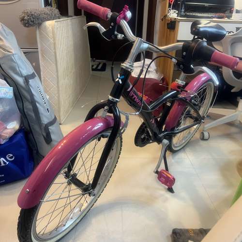 Decathlon 20寸兒童單車