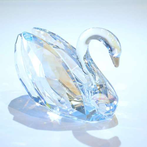 施華洛世奇水晶愛天鵝雕像 Swarovski Crystal Love Swan Figurine 1143414